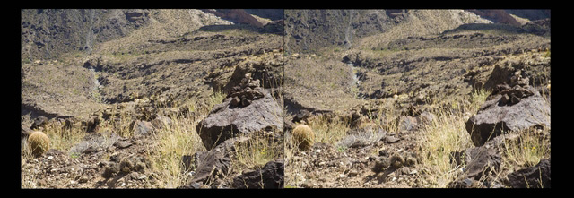 canyon dropoff stereo